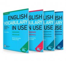 مجموعه 4 جلدی English Vocabulary in Use British